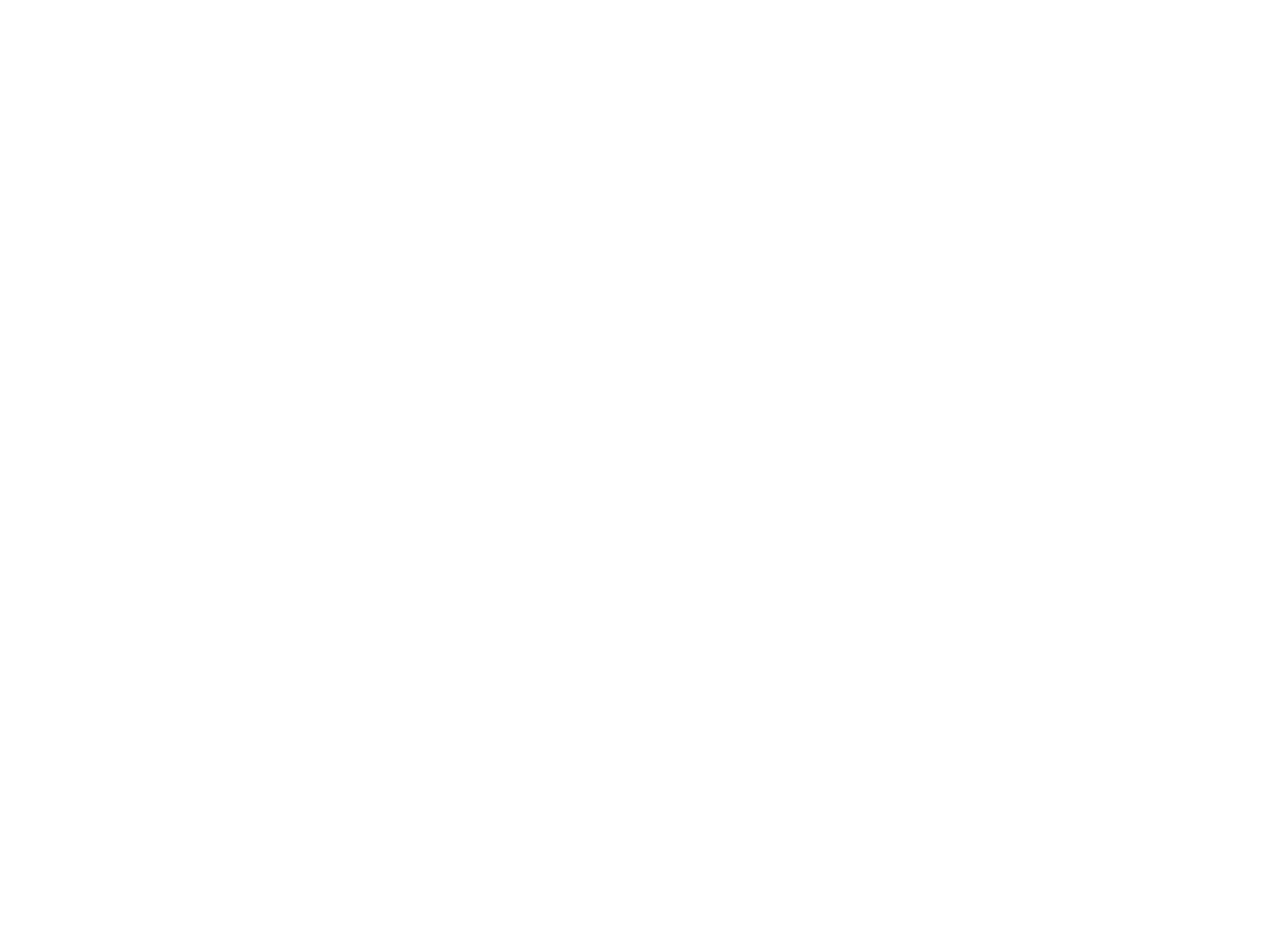 Logo_Pilot4Success_BernhardHofer_weiss